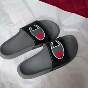 Champion Black and Gray Logo Slides